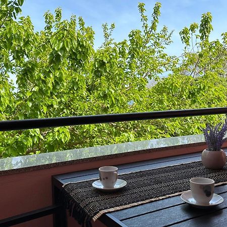 Apartment Murva 普莱曼图拉 外观 照片